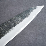 Sakai Takayuki Homura Guren Aogami 2 Steel Hammered Gyuto Knife 225mm