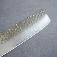 Sakai Takayuki Saiu 33-Layer VG10 Damascus Hammered Nakiri Knife 160mm