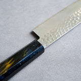 Sakai Takayuki Saiu 33-Layer VG10 Damascus Hammered Nakiri Knife 160mm