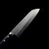 Masutani Hamono VG10 Kokuryu Damascus Tsuchime Santoku Knife 170mm Blue Pakka Wood Handle